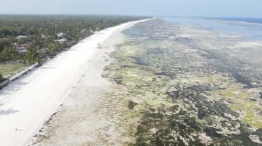 Tanzanya 'daki Zanzibar adasının kıyısında okyanusta gelgit var.