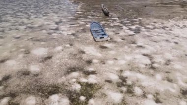 Okyanus, Tanzanya 'nın Zanzibar adası kıyısında gelgit yaşıyor.