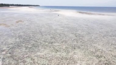 Okyanus, Tanzanya 'nın Zanzibar adası kıyısında gelgit yaşıyor.