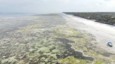 Okyanus, Tanzanya 'nın Zanzibar adası kıyısında gelgit yaşıyor.