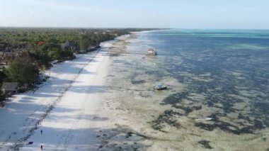 Okyanus, Tanzanya 'nın Zanzibar adası kıyısında gelgit yaşıyor.