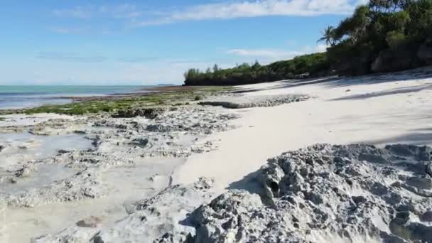 Alacsony dagály az óceánban, Zanzibár sziget partjainál, Tanzániában — Stock videók