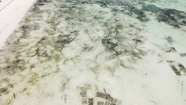 Laag water in de oceaan nabij de kust van Zanzibar eiland, Tanzania — Stockvideo
