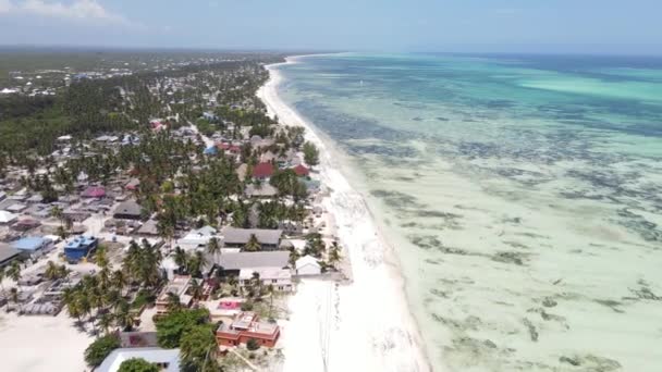 Marée basse dans l'océan près de la côte de l'île de Zanzibar, Tanzanie — Video