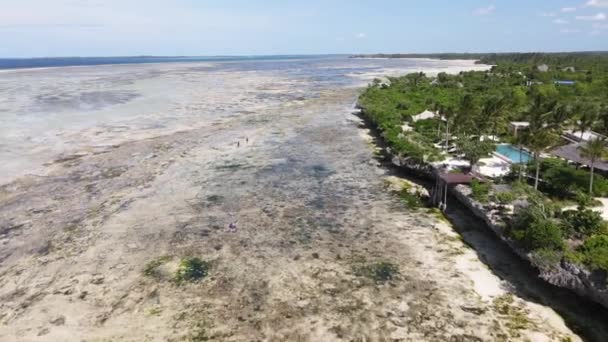 Χαμηλή παλίρροια στον ωκεανό κοντά στις ακτές της Ζανζιβάρης νησί, Τανζανία — Αρχείο Βίντεο