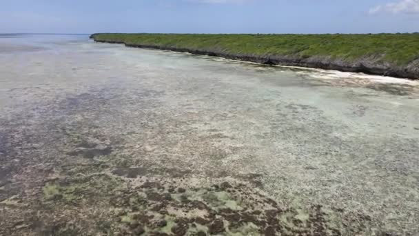 Bassa marea nell'oceano vicino alla costa dell'isola di Zanzibar, Tanzania — Video Stock