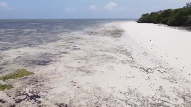 Alacsony dagály az óceánban, Zanzibár sziget partjainál, Tanzániában — Stock videók