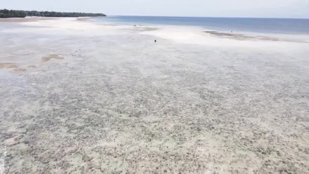 Okyanus, Tanzanya 'nın Zanzibar adası kıyısında gelgit yaşıyor. — Stok video