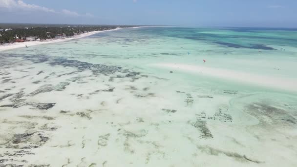Ocean low tide near the coast of Zanzibar island, Tanzania — Stock Video