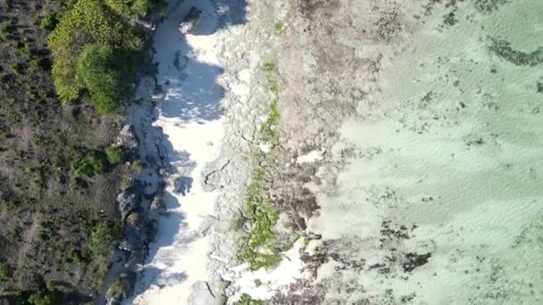 Havslågvatten nära kusten av ön Zanzibar, Tanzania — Stockvideo