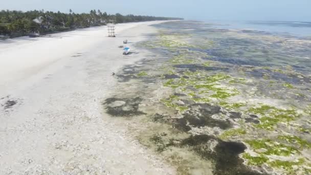 Nízký příliv oceánu u pobřeží ostrova Zanzibar, Tanzanie — Stock video