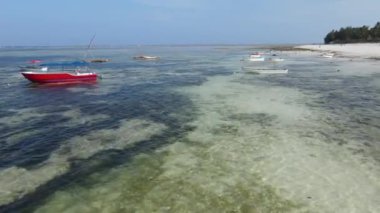 Okyanus, Tanzanya 'nın Zanzibar adası kıyısında gelgit yaşıyor.