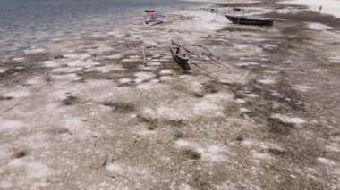 Okyanus, Tanzanya 'nın Zanzibar adası kıyısında gelgit yaşıyor.