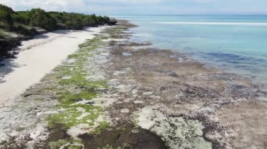 Okyanus, Tanzanya 'nın Zanzibar adası kıyısında gelgit yaşıyor.