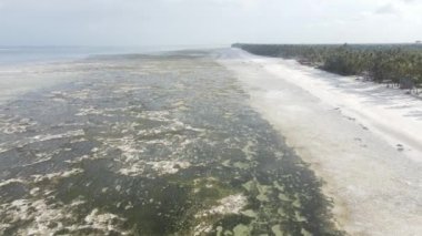 Okyanus, Tanzanya 'nın Zanzibar adası kıyısında gelgit yaşıyor.