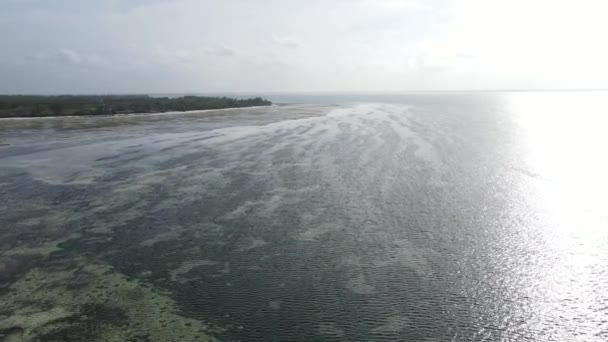 Прилив в океане у берегов острова Занзибар, Танзания — стоковое видео