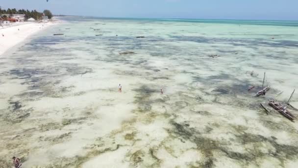 Marea baja del océano cerca de la costa de la isla de Zanzíbar, Tanzania — Vídeo de stock