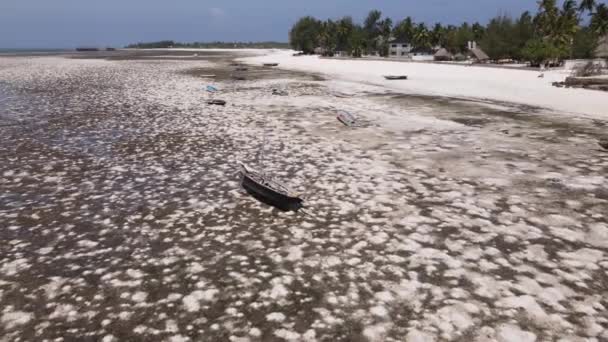 탄자니아 잔지바르 섬의해 안 근처의 바닷물 썰물 — 비디오