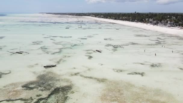 Marea baja del océano cerca de la costa de la isla de Zanzíbar, Tanzania — Vídeo de stock
