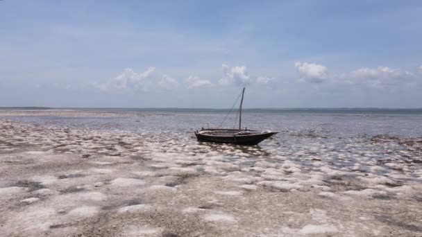 Морський потік біля узбережжя Занзібару (Танзанія). — стокове відео