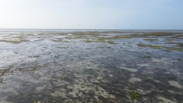 Przypływ oceanu w pobliżu wybrzeża wyspy Zanzibar, Tanzania — Wideo stockowe