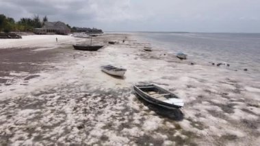 Okyanus, Tanzanya 'nın Zanzibar adası kıyısında gelgit yaşıyor.