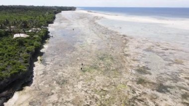 Okyanus, Tanzanya 'nın Zanzibar adası kıyısında gelgit yaşıyor.