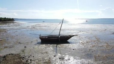 Tanzanya, Zanzibar adasının kıyısı sular çekildiğinde