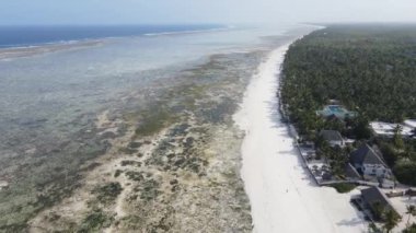 Tanzanya, Zanzibar adasının kıyısı sular çekildiğinde