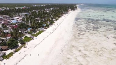 Tanzanya, Zanzibar adasının kıyısı sular çekildiğinde