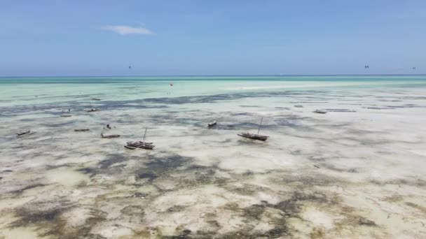 Maré baixa oceânica perto da costa da ilha de Zanzibar, na Tanzânia — Vídeo de Stock