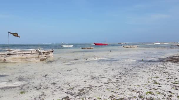 Marea baja del océano cerca de la costa de la isla de Zanzíbar, Tanzania — Vídeo de stock