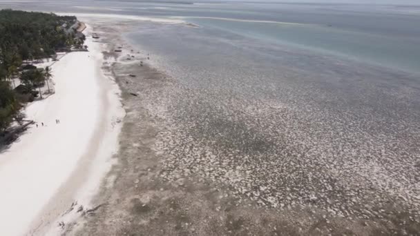 Shore of Zanzibar island, Tanzania at low tide — Stock Video