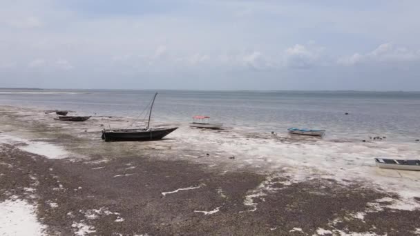 Isola di Zanzibar, Tanzania con bassa marea — Video Stock
