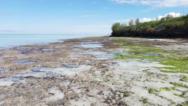 Costa da ilha de Zanzibar, Tanzânia, na maré baixa — Vídeo de Stock