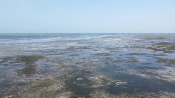 Берег Занзібару, Танзанія. — стокове відео