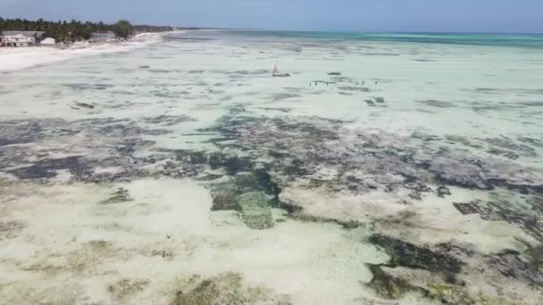 Isola di Zanzibar, Tanzania con bassa marea — Video Stock