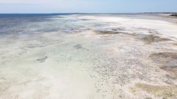 干潮時にタンザニアのザンジバル島の海岸 — ストック動画