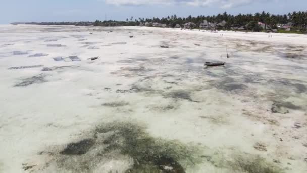 干潮時にタンザニアのザンジバル島の海岸 — ストック動画