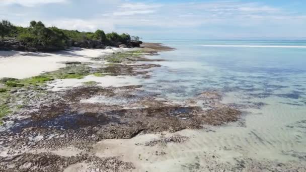 Берег острова Занзибар, Танзания во время отлива — стоковое видео