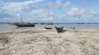 Tanzanya, Zanzibar adasının kıyısı sular çekildiğinde