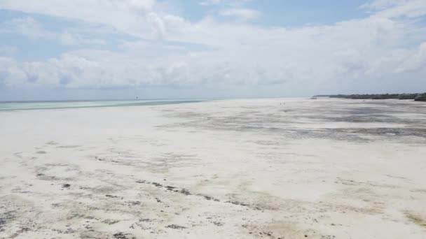 Wybrzeże wyspy Zanzibar, Tanzania podczas odpływu — Wideo stockowe