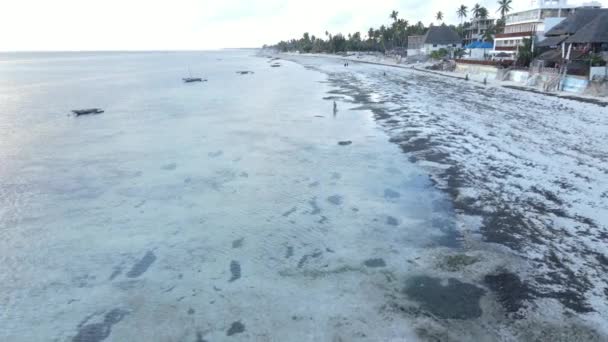 Landa av ön Zanzibar, Tanzania vid lågvatten — Stockvideo