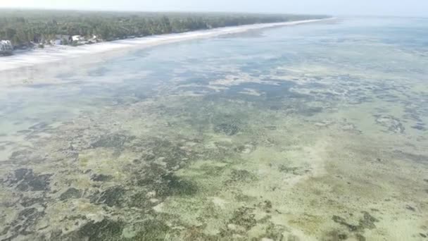 Берег Занзібару, Танзанія. — стокове відео