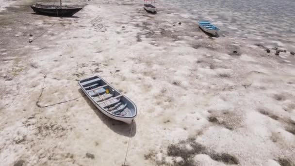 Costa da ilha de Zanzibar, Tanzânia, na maré baixa — Vídeo de Stock