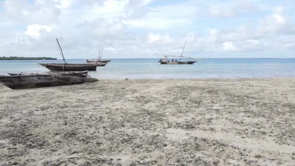 Берег острова Занзибар, Танзания во время отлива — стоковое видео