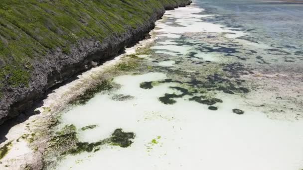 Wybrzeże wyspy Zanzibar, Tanzania podczas odpływu — Wideo stockowe