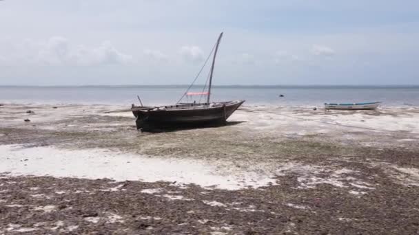 Orilla de la isla de Zanzíbar, Tanzania en marea baja — Vídeo de stock