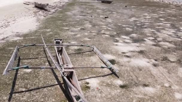 Orilla de la isla de Zanzíbar, Tanzania en marea baja — Vídeos de Stock