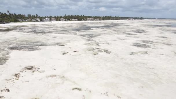 Orilla de la isla de Zanzíbar, Tanzania en marea baja — Vídeos de Stock